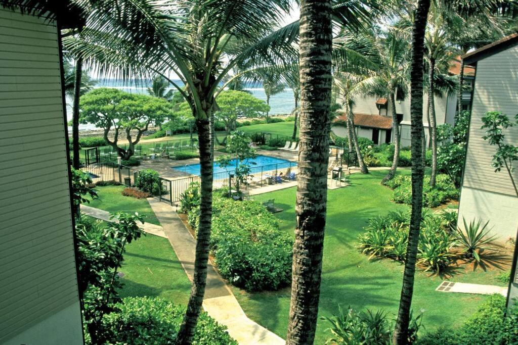 1Br Condo At Oceanfront Resort Kapaa Shore Kapa'a Extérieur photo